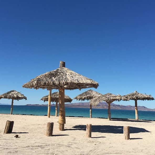 Disfrutar de Playa Tecolote – LA PAZ, PLAYAS